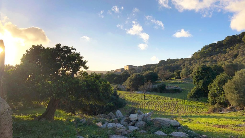 Imatge Terres Mallorca