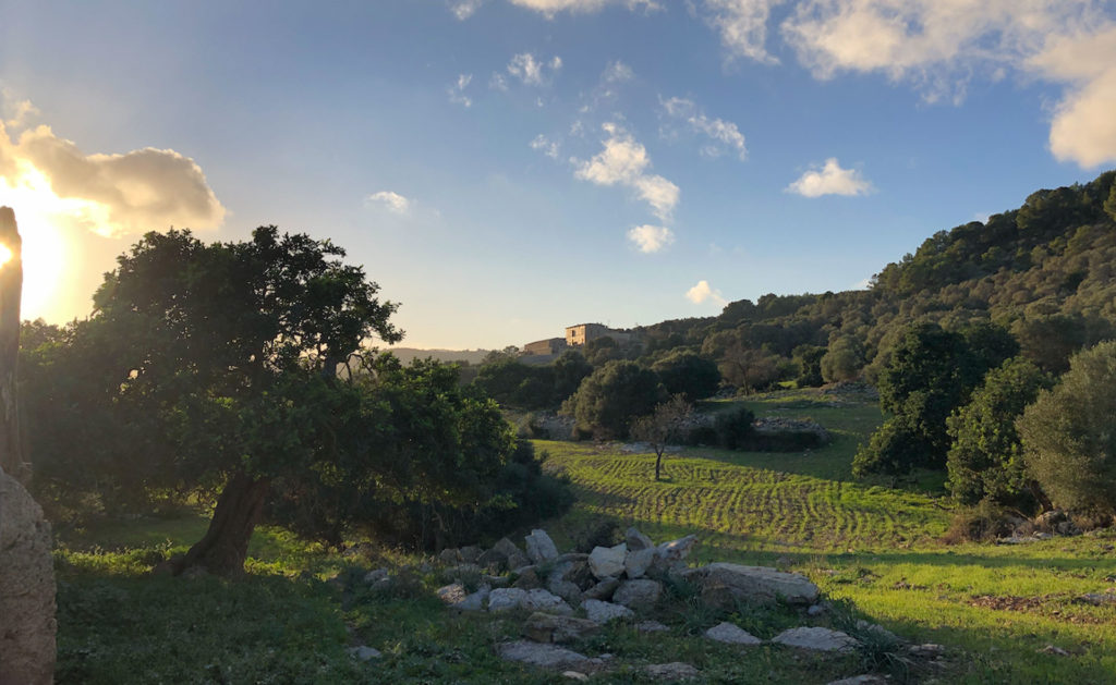 Finca Els Olors